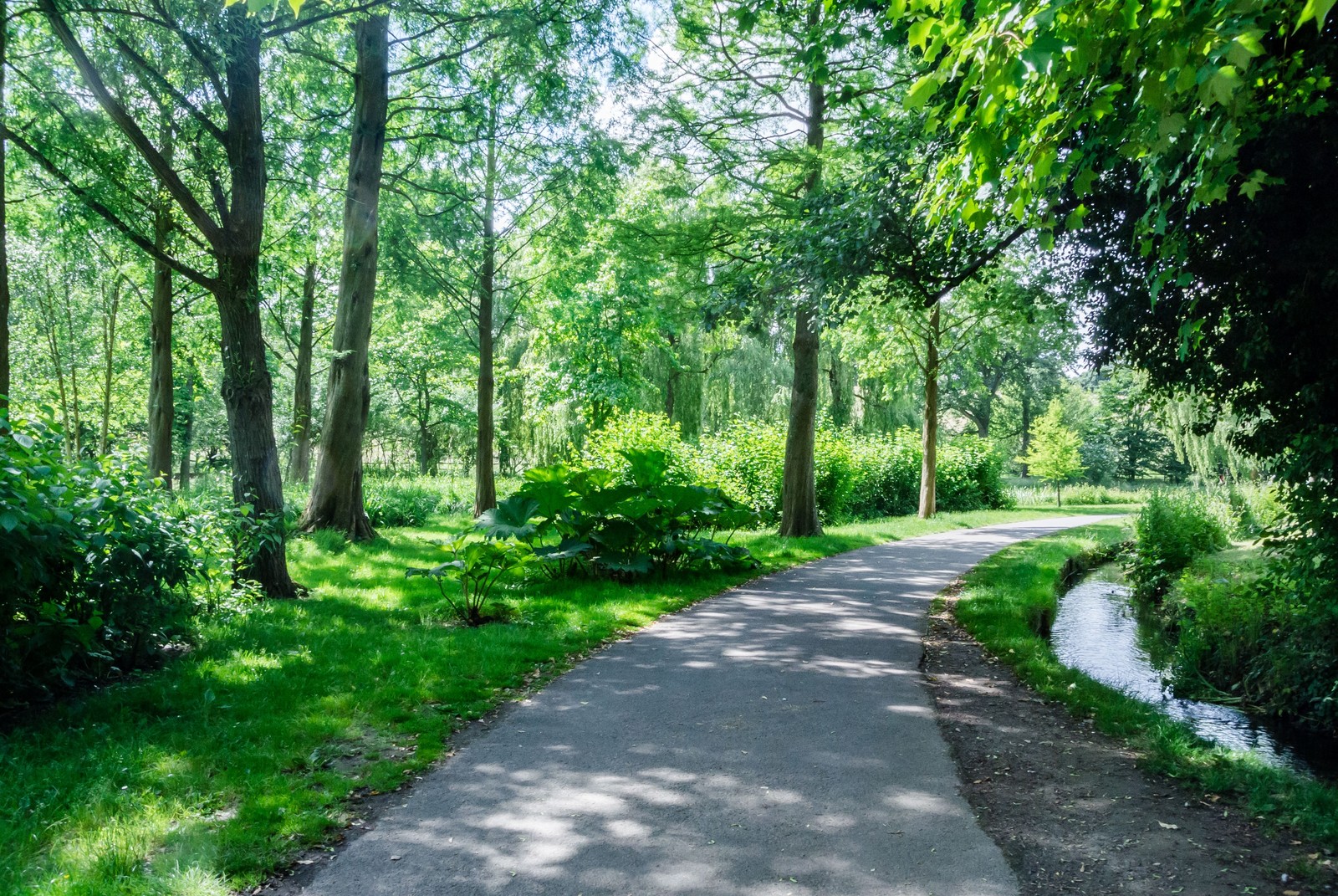 横浜から日帰りで行ける避暑地おすすめ6選！ のびの気になるアレコレ